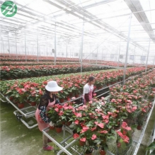航迪苗床—温室育苗设备解决方案专家