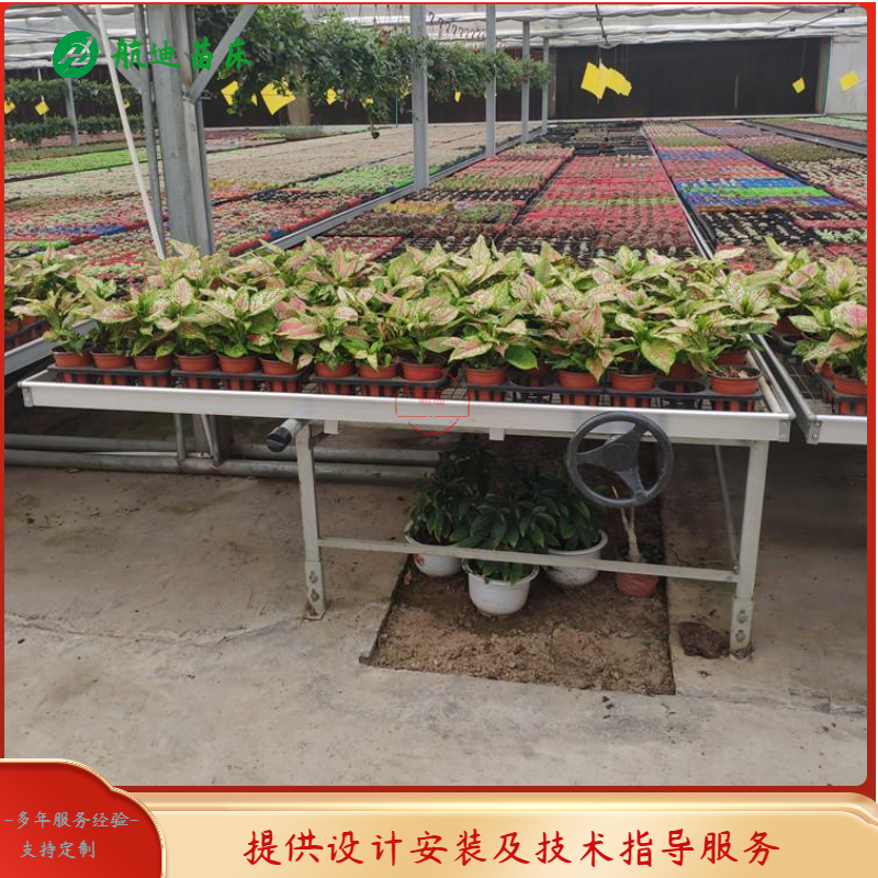 移动苗床  可移动苗床 滚动式苗床