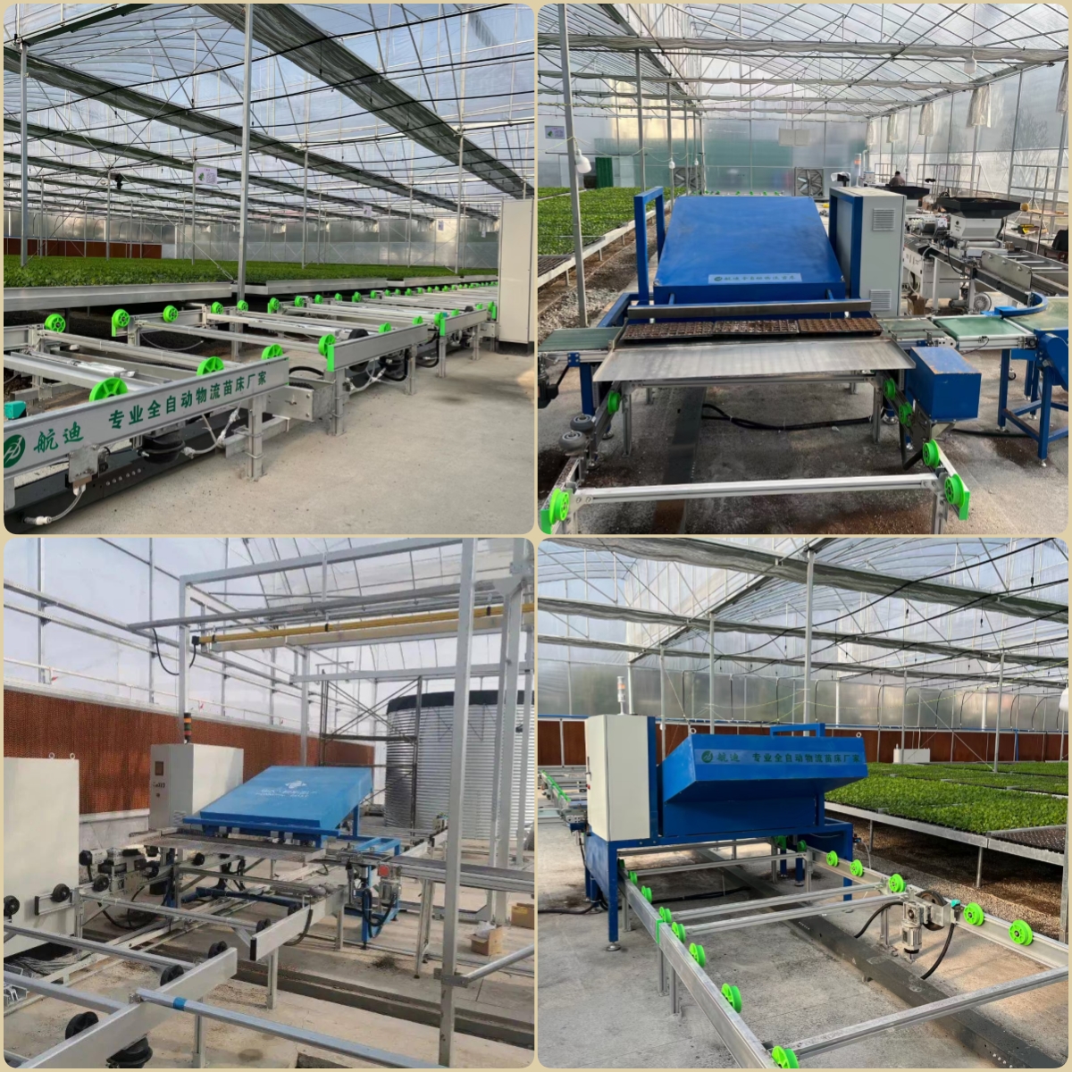 全自动物流苗床 项目案例.jpg